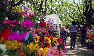 Feira de flores na Savassi completaria um ano em agosto(foto: Click Estdio Profissional - Acervo Belotur)