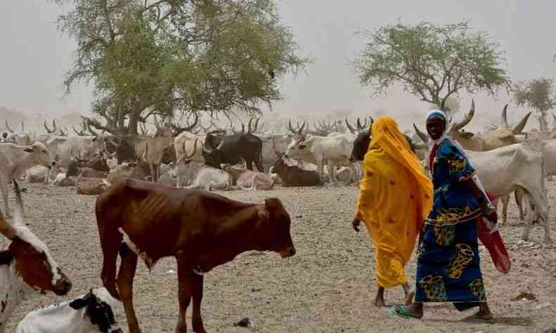 O Sahel no preocupa apenas pelas condies ambientais crticas; as condies polticas instveis, marcadas por muita corrupo e abandono das populaes mais carentes(foto: AFP/ISSOUF SANOGO)
