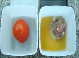 No caso do tomate, o tempo de prateleira passou de dois para 26 dias, quando embalado corretamente 