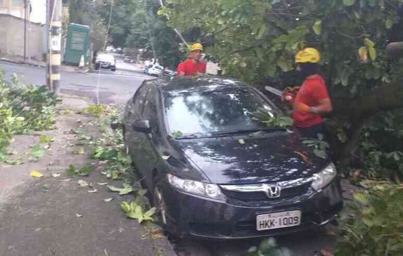 Bombeiros tiveram de retirar o veculo primeiro para depois fazer o corte definitvo da rvore(foto: CBMMG)