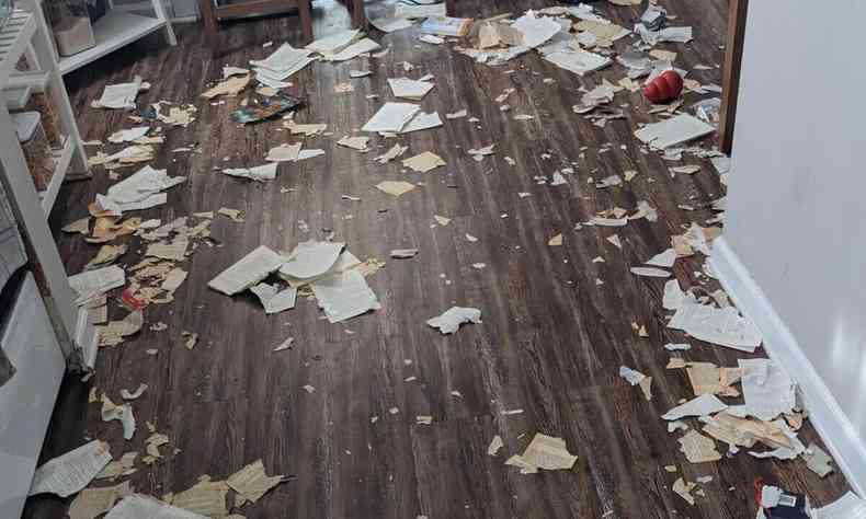 Sala com o cho cheio de pedaos de papel e livros devorados por cachorro