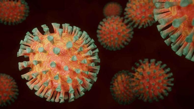 Uberaba, que tem cerca de 340 mil pessoas, já aplicou quase 600 mil doses da vacina contra a COVID-19(foto: Pixabay) Ilustração do coronavírus
