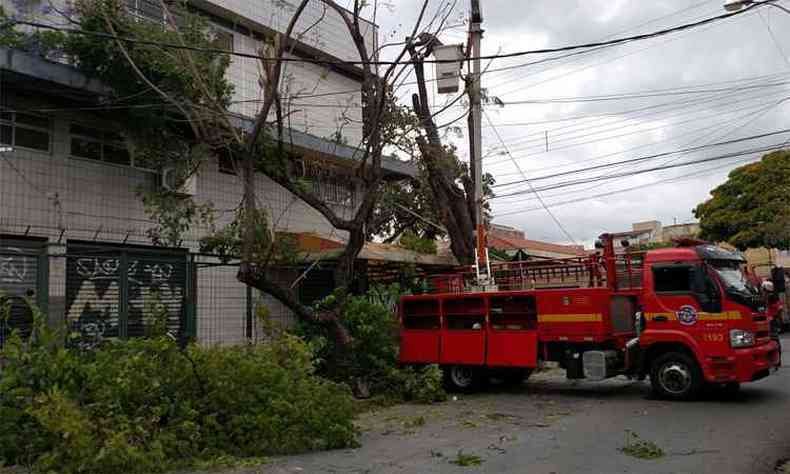 Dois caminhes do Corpo de Bombeiros estavam no local para o corte da rvore no Padre Eustquio(foto: Corpo de Bombeiros/Divulgao)