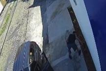 Escola de Belo Horizonte registra 10 furtos de plantas em oito meses