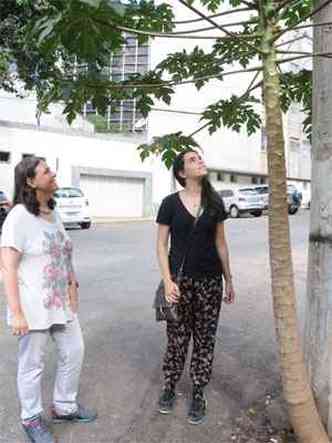 Vnia Freire e a filha Slvia pararam para admirar o mamoeiro carregado de frutos na Rua Piau: 
