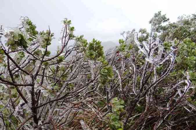 As previses meteorolgicas se confirmaram e o primeiro frio de 2016 chegou  Serra catarinense(foto: Marlia Oliveira/Prefeitura de Urupema)