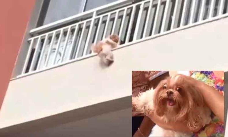 O vídeo registra o momento da queda e o salvamento dos moradores(foto: Reprodução Facebook) O vídeo registra o momento da queda e o salvamento dos moradores(foto: Reprodução Facebook)