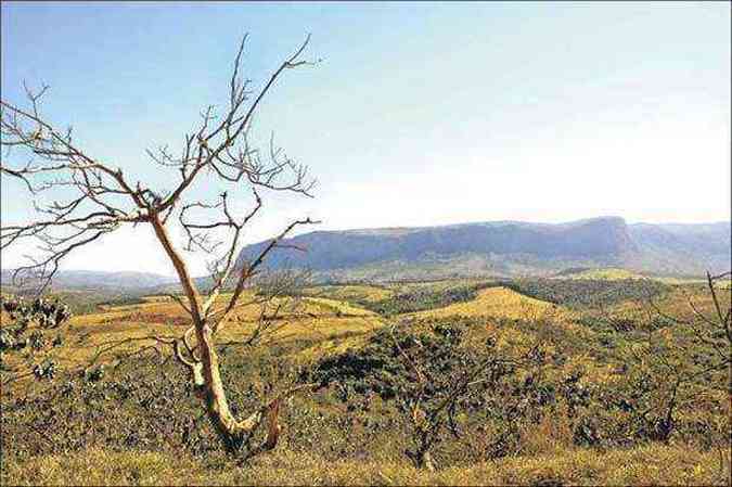 Parque abriga espcies raras da flora e da fauna brasileiras, alm da nascente do Rio So Francisco (foto: Beto Novaes/EM/D.A Press)