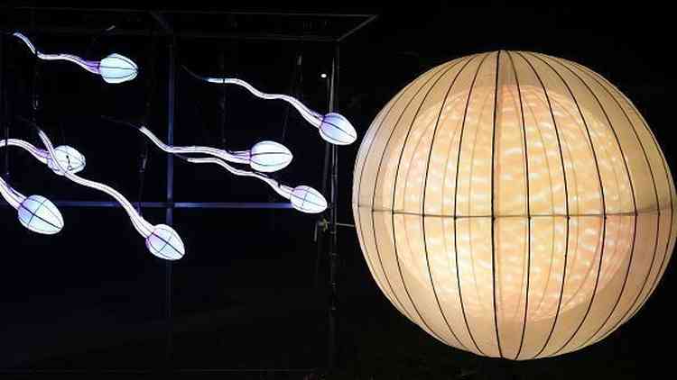 Estruturas iluminadas em formato de espermatozoides e vulo
