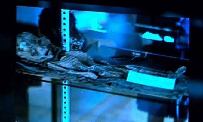 (foto: Reprodução) (foto: Reprodução)