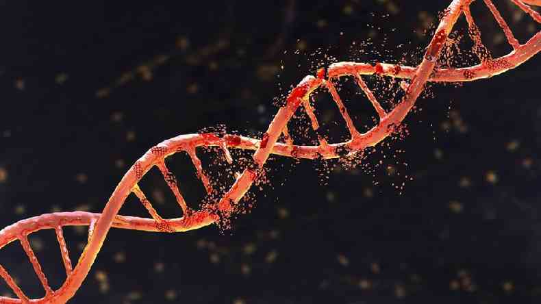 Com apenas pequenos fragmentos de ossos, os cientistas conseguiram sequenciar todo o genoma de um denisovano(foto: Getty Images)