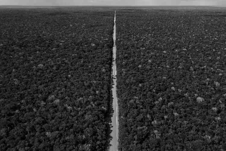 Imagem mostra a floresta amaznica cortada por estrada em linha reta