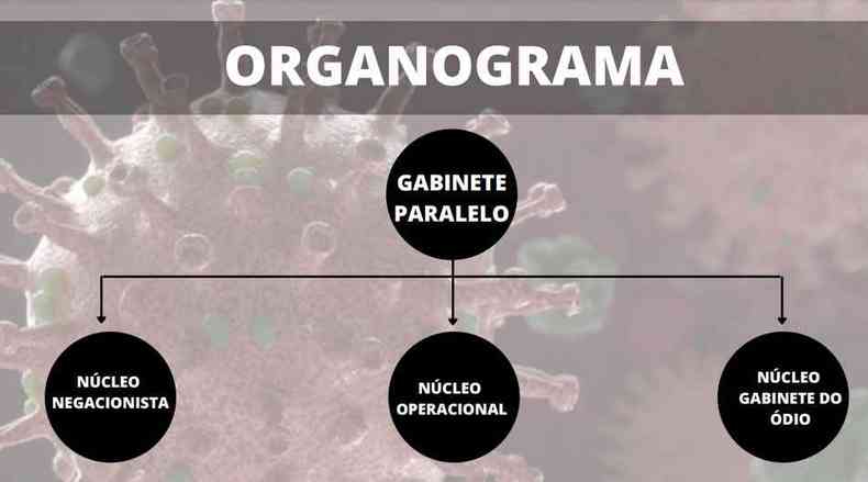 Rogrio Carvalho apresentou um power point sobre o 'gabinete paralelo'(foto: CPI da COVID/Reproduo)