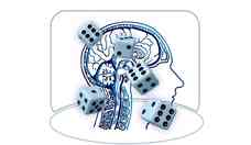 Jogos estimulam o crebro: veja dicas de neurocientista
