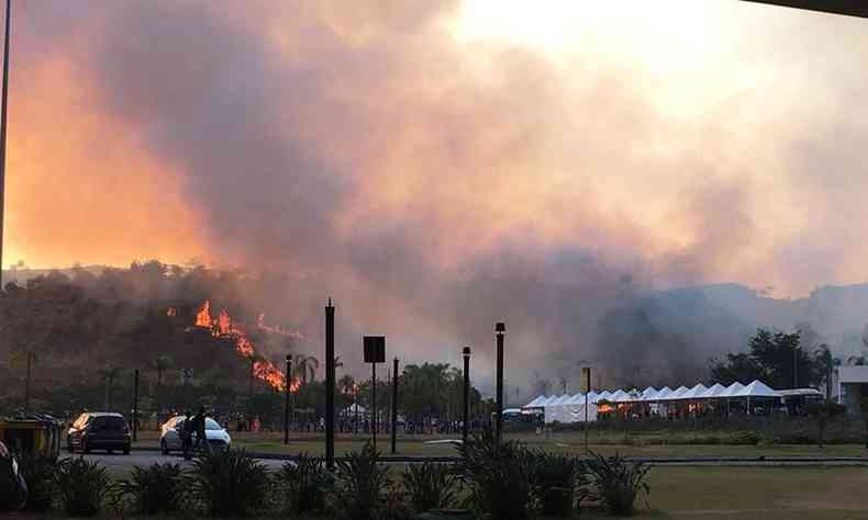 Incndio atinge vegetao na Cidade Administrativa(foto: Rita Vieira )