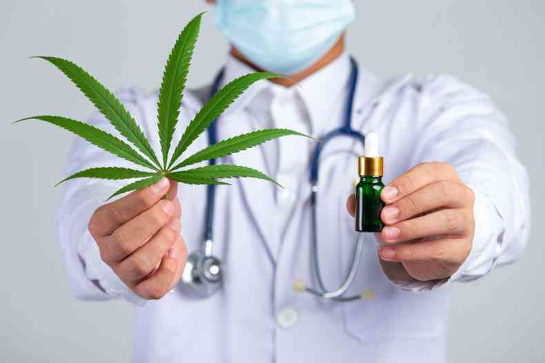 Médico segurando um frasco de cannabis medicinal em uma mão e na outra segurando a planta da cannabis