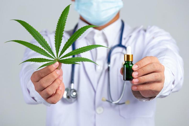 Uso De Cannabis Medicinal No Brasil Mais Que Dobrou Em 2021 Saúde Estado De Minas 7614