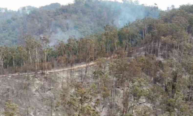 Cerca de 100 hectares j foram atingidos pelas chamas