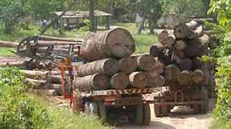 Caminhes transportam madeira em toras(foto: Agncia Brasil)