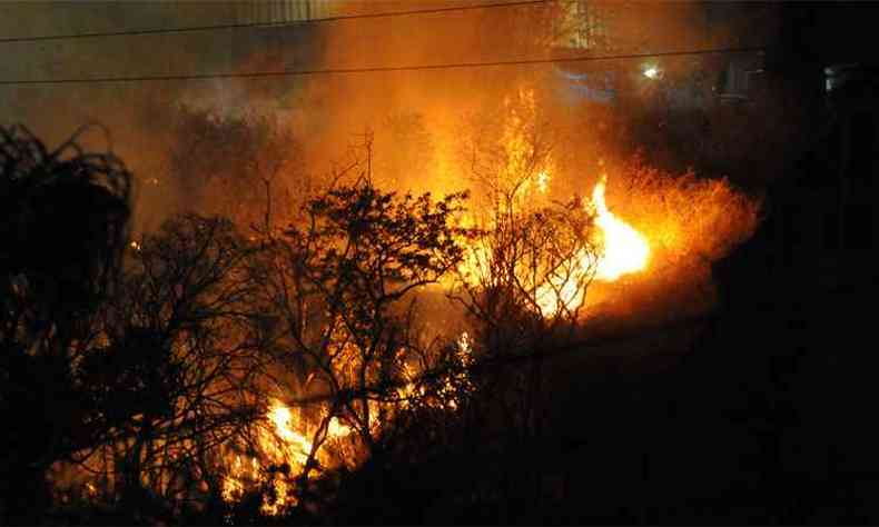 Fogo assusta moradores do Bairro Buritis (foto: Marcos Vieira/EM/DA Press)