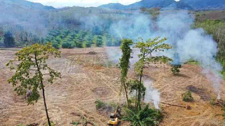 Uma rea descampada em Sumatra, Indonsia, com fumaa subindo e floresta tropical ao redor do local