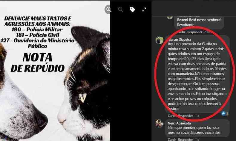 Populao de Piracema est revoltada com os assassinatos de animais(foto: Reproduo/Redes sociais)
