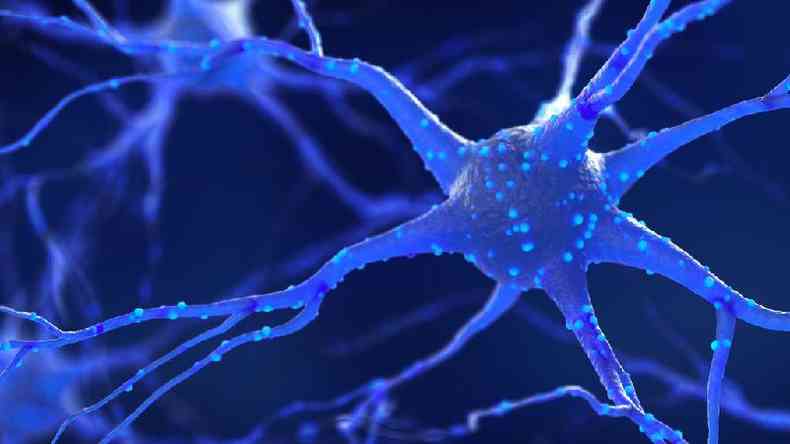  verdade que nossos neurnios no se renovam? Ou que desperdiamos muitos deles?(foto: Getty Images)