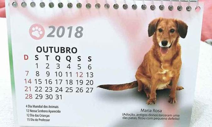 Páginas trazem imagens de cães e gatos salvos de situações degradantes(foto: Marita Assis/divulgação) Páginas trazem imagens de cães e gatos salvos de situações degradantes(foto: Marita Assis/divulgação)