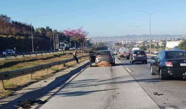 Os grupos cobram a criao de polticas pblicas que colaborem com a reduo de acidentes nas rodovias estaduais MG-10 e MG-424 (foto: Brasil Sem Trao Animal/Divulgao )