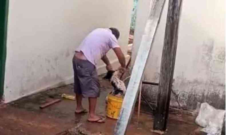 Homem afoga cachorro em balde(foto: Reproduo/Internet)