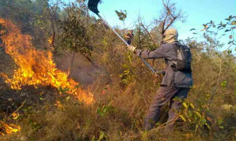 As chamas se espalharam rapidamente pela vegetao (foto: Corpo de Bombeiros/Divulgao)
