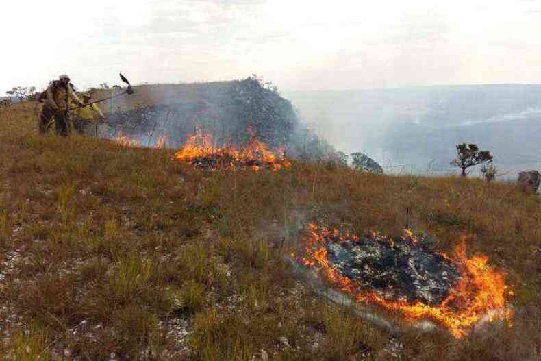 Os brigadistas utilizam abafadores para conter as chamas(foto: ICMBio/Divulgao)