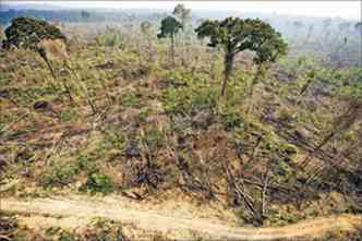 Ambientalistas criticam projeto em andamento no Congresso por causa do risco da expanso do desmatamento para reas agrcolas no pas (foto: AntonioScorza/AFP - 2/11/14)