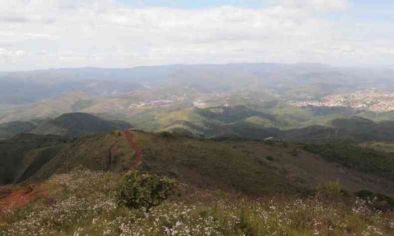 Foto da Serra do Curral, com vegetao rasteira em primeiro plano.