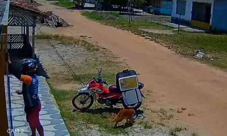 Na foto, imagens de segurana mostram momento que cachorro furta a marmita