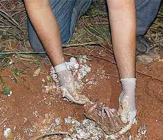 Primeiro objeto encontrado pela polcia foi a sandlia da menina(foto: Divulgao/Polcia Civil )