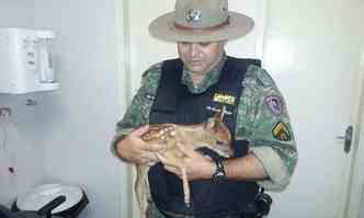 PM afirma que animal tem cerca de cinco dias de vida(foto: Polcia Militar Ambiental/Divulgao)