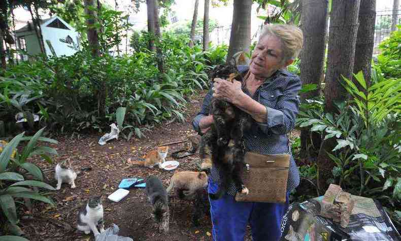 Dona Dulce alimenta animais que circulam na rea, onde a populao de felinos sob manejo da prefeitura chega a 300 gatos