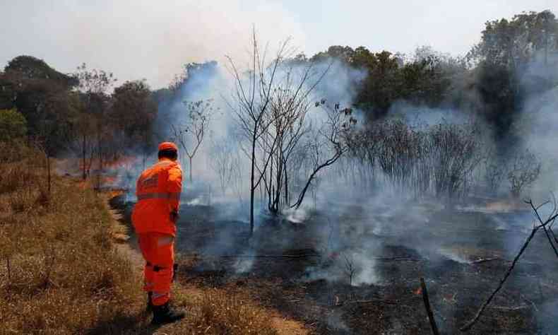Bombeiros combatem incndio em vegetao em Barbacena