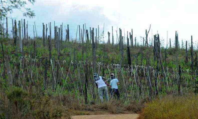 Moradores em fazenda que pertence a seita em So Vicente de Minas(foto: Jair Amaral / EM/D.A.Press)