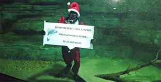 Papai Noel mergulhador passou mensagem pela preservao das guas(foto: Suziane Fonseca/Divulgao FZB-BH)