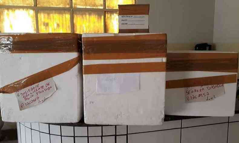 Medicamentos do kit intubao(foto: Divulgao/Prefeitura de Ituiutaba)