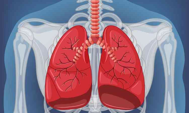 ilustrao do pulmo
