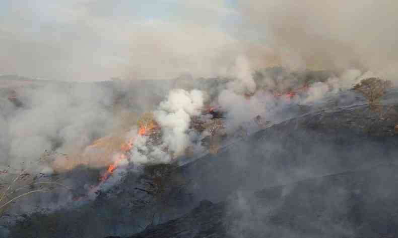rea destruda pelo fogo em Varginha, no Sul de Minas(foto: Divulgao/ Corpo de Bombeiros)