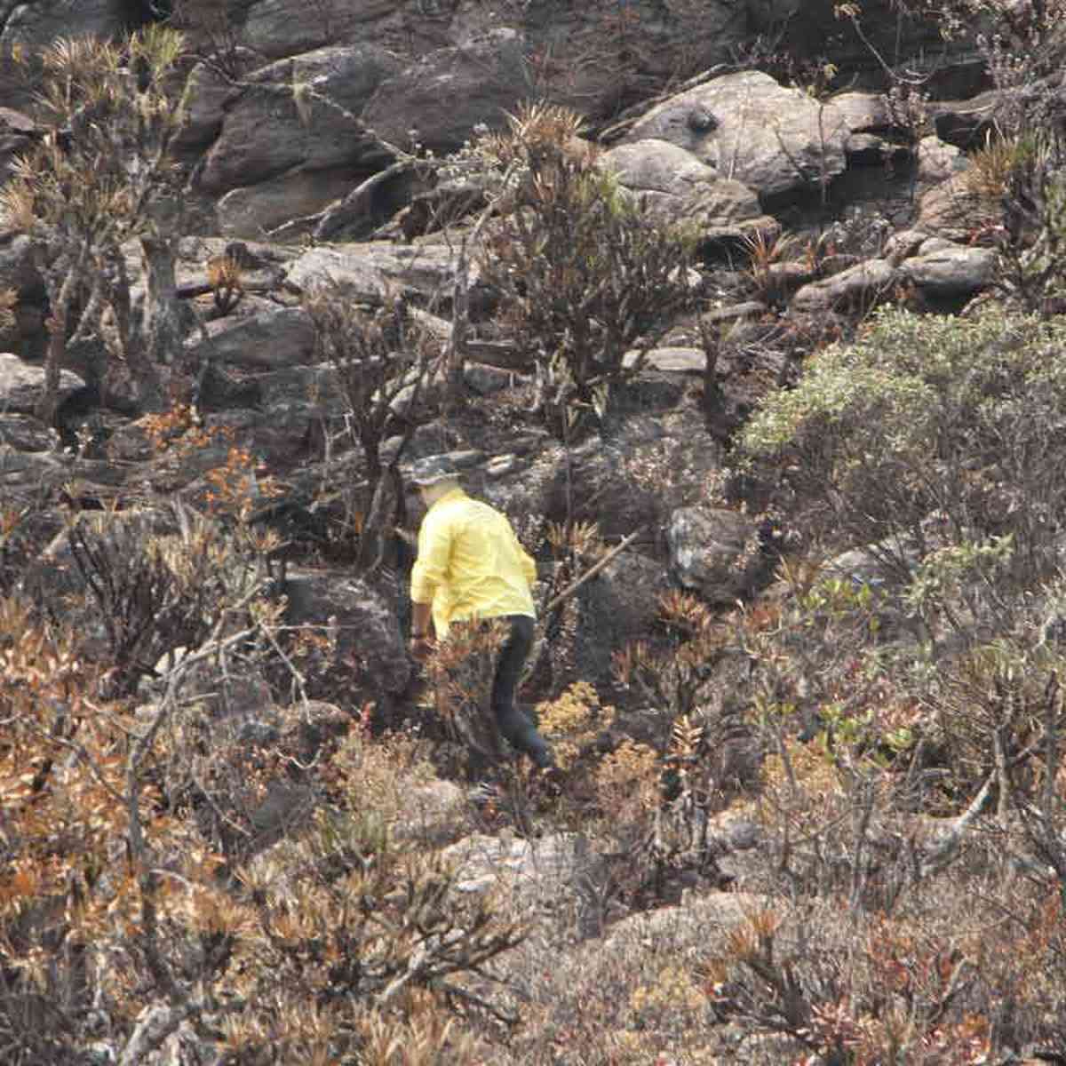 Apagar O Fogo Com Um Balde De água. Incêndios Florestais No Verão