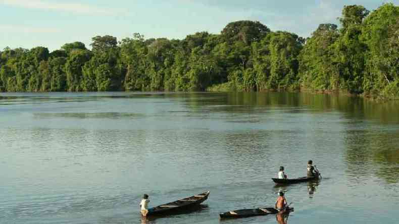 Crianas ribeirinhas em canoas no Rio Tef, no Amazonas