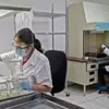 Cannabis: pesquisa mostra efeito analgésico para pacientes com câncer