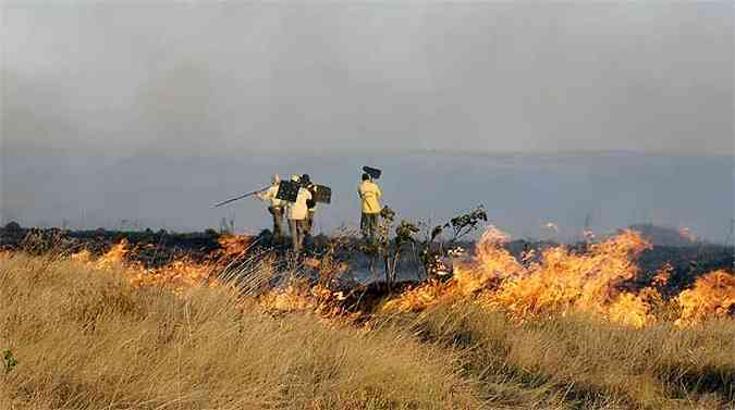 Brigadistas esto na Serra da Canastra desde sexta-feira combatendo o incndio(foto: ICMBio/Divulgao)