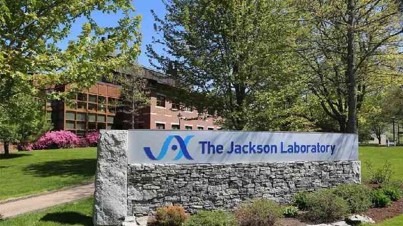 Em funcionamento desde 1929, laboratrio armazena 11 mil linhages de camundongos geneticamente modificados(foto: The Jackson Laboratory (JAX))