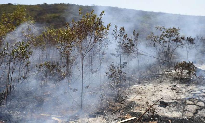 Percia est no local para fazer levantamentos e avaliar o tamanho do prejuzo ao meio ambiente(foto: Gladyston Rodrigues/EM/D.A Press)